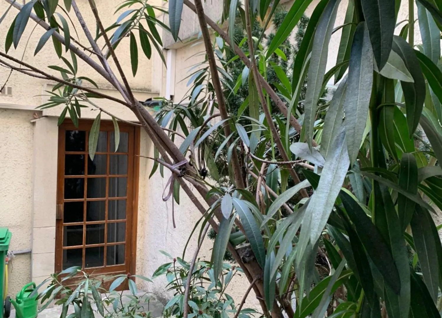 Apartment Amazzing Appartement /Javel/Tour Eiffel /Paris